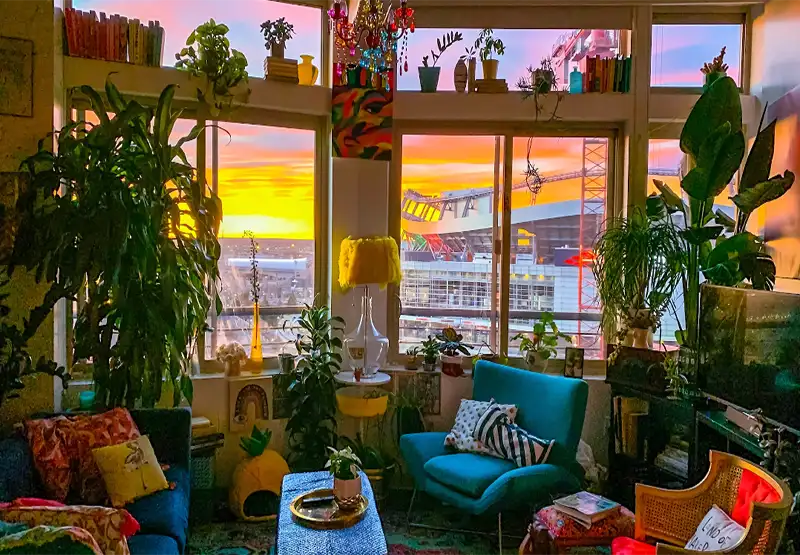 Lots of Plants