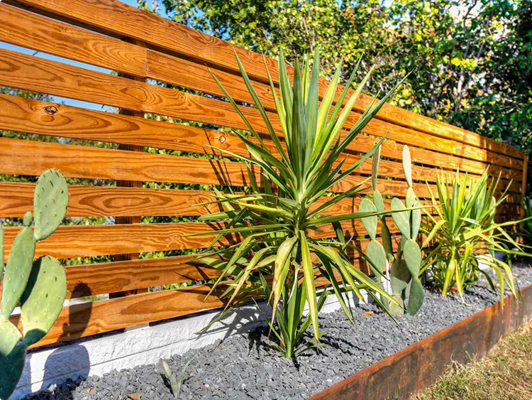 Honey Wood Fence for a Desert Garden