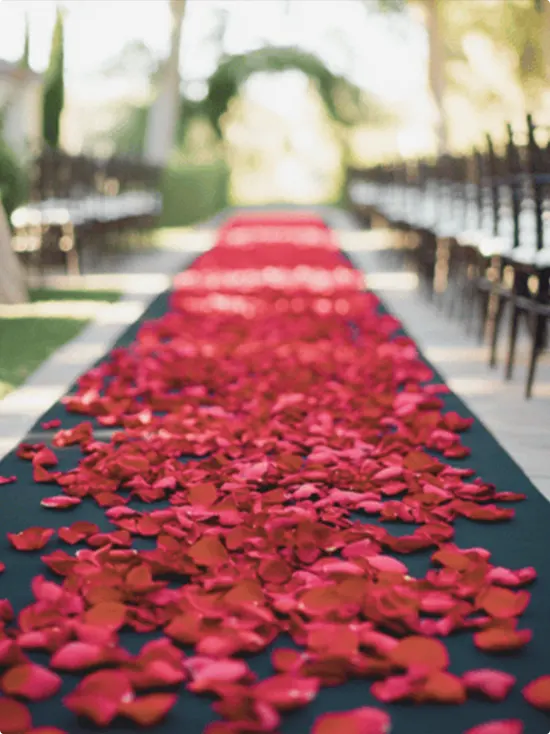 Black Aisle Runner with Red and Deep Pink Petals