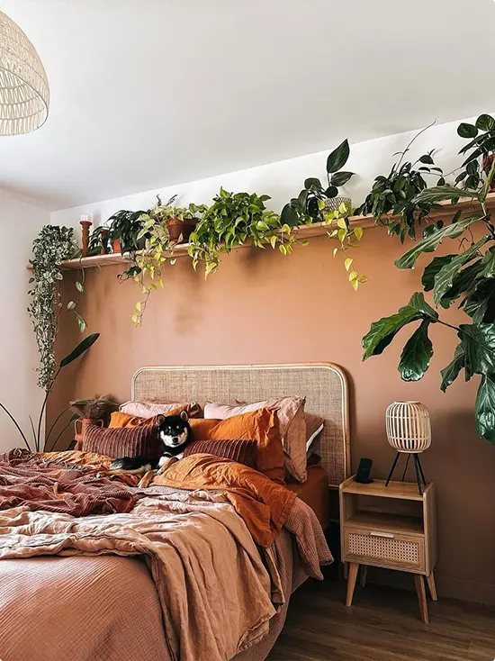 Full Wall Plant Shelf Near the Ceiling