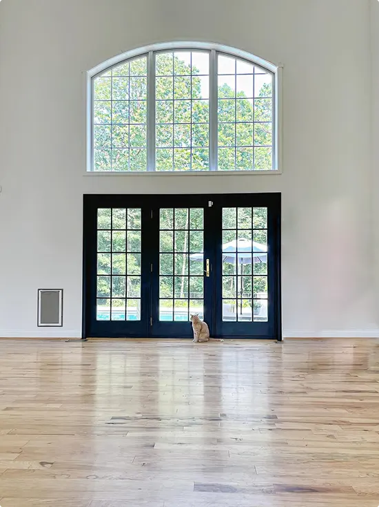 Black French Pool Doors with a Cat