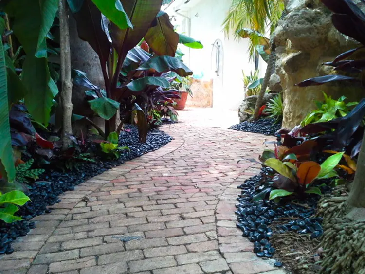 Brick Pathway with Black Rock and Tropical Plants