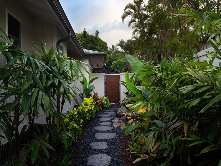 Lush tropical planting along a pathway