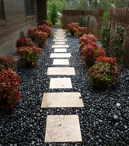 Red foliage along the pathway