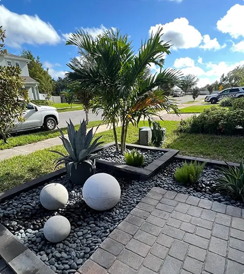 Tropical Corner Garden with Palm Tree