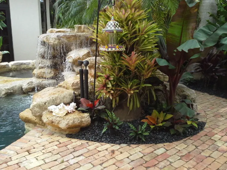 Tropical Fountain