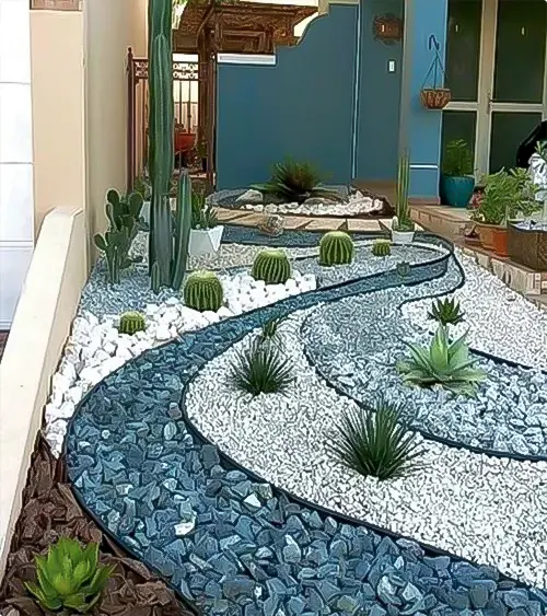 Two-Tone Desert Garden