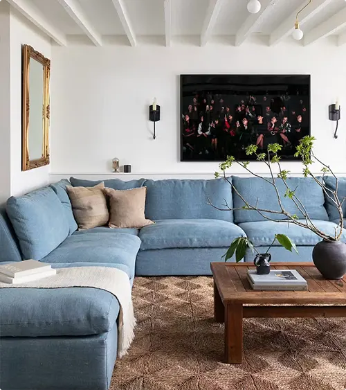 Blue Couch Living Room Ideas