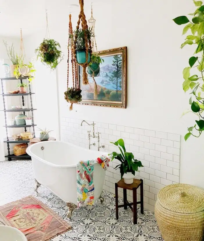 Encaustic Tile & Hanging Plants