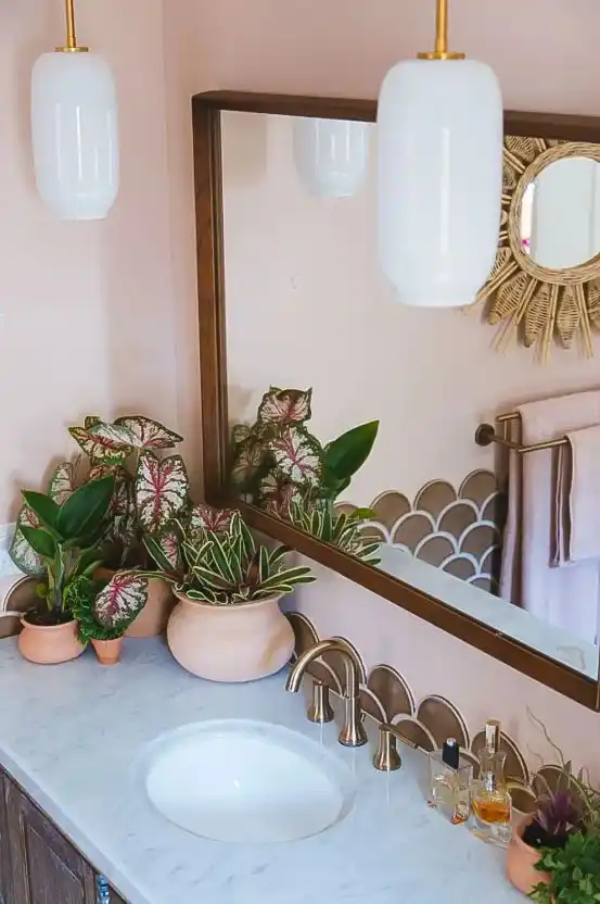 Bring in Some Plants