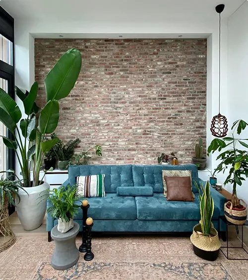 Teal Urban Jungle Blue Couch Living Room