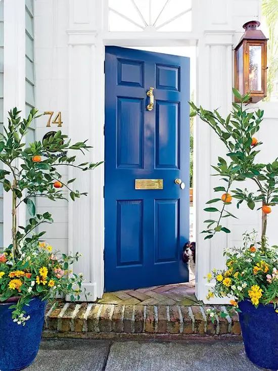 Bold Front Door Ideas