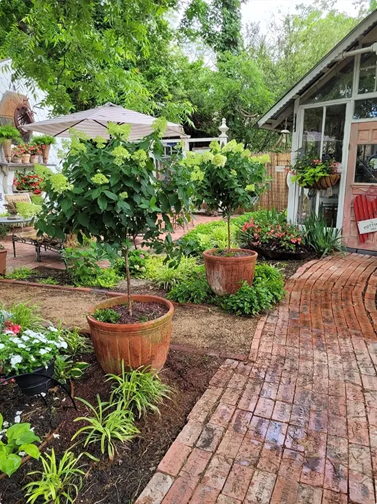 Cottage Courtyard Garden Walkway
