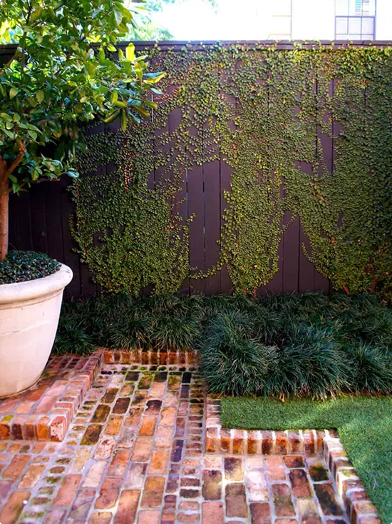 Deep Brown Fence with Dark Ivy and Brick Edging