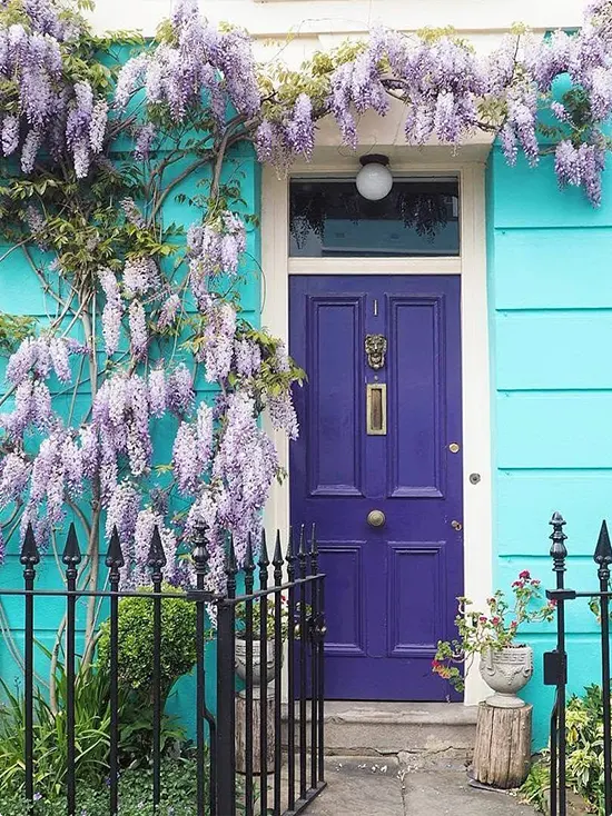 Deep Purple Door Turquoise Facade Lavender Wisteria