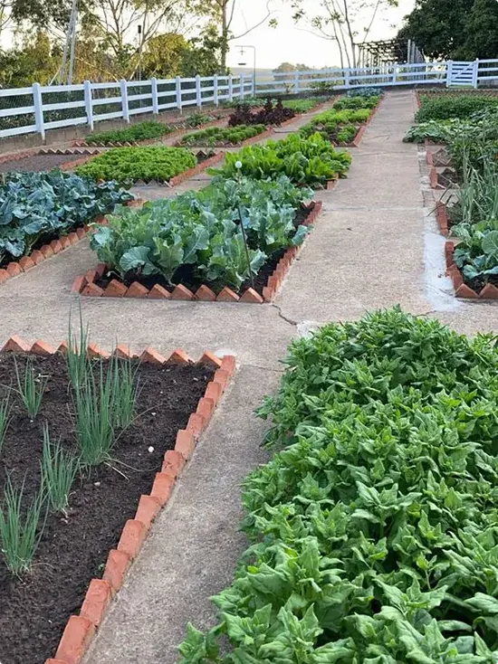 Kitchen Garden with Zigzag Brick Vegetable Beds