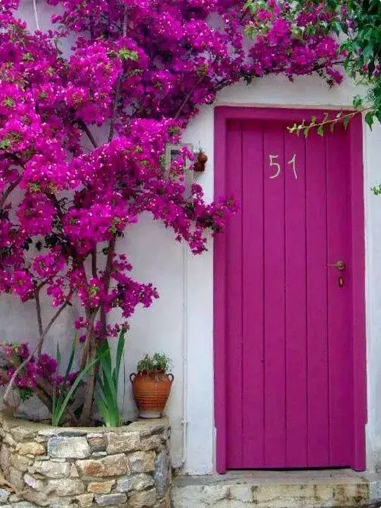 Bold Front Door Ideas