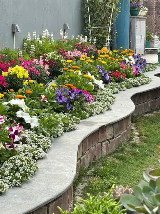 Raised Bed with a Raised Border and Tiered Flowers