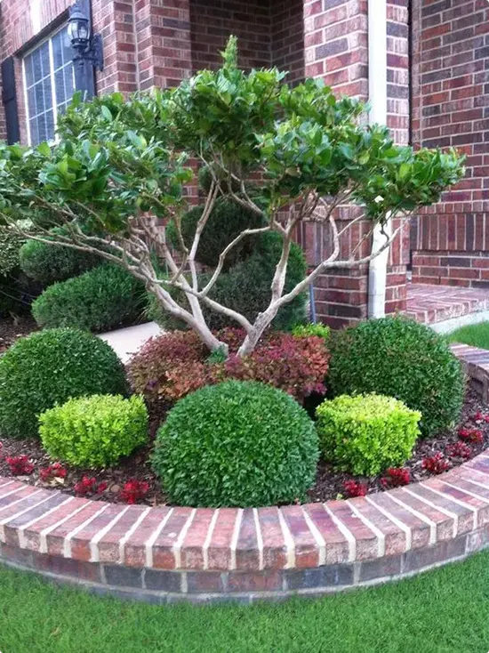 Rounded Shrub Island Bed