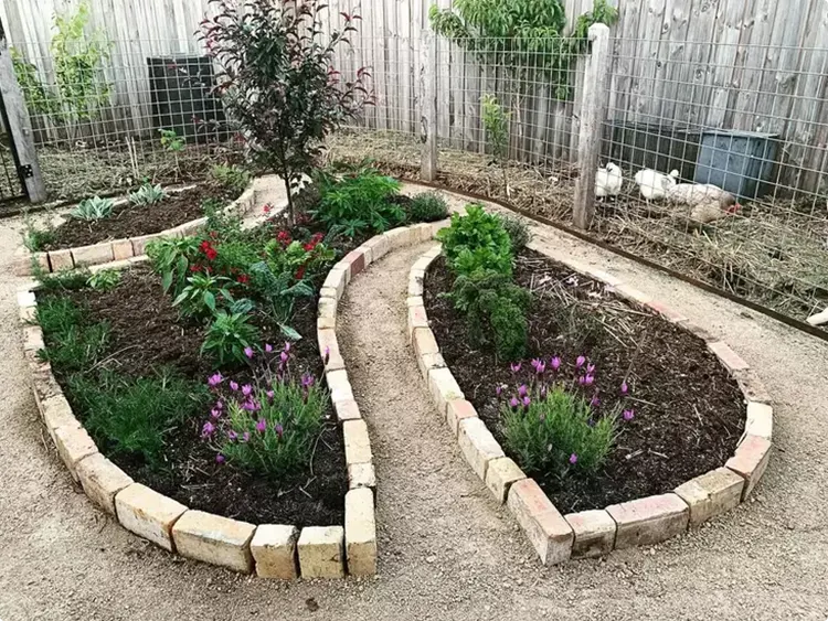 Two Kidney Garden Beds with Pale Stone Edging and S-Curve Path