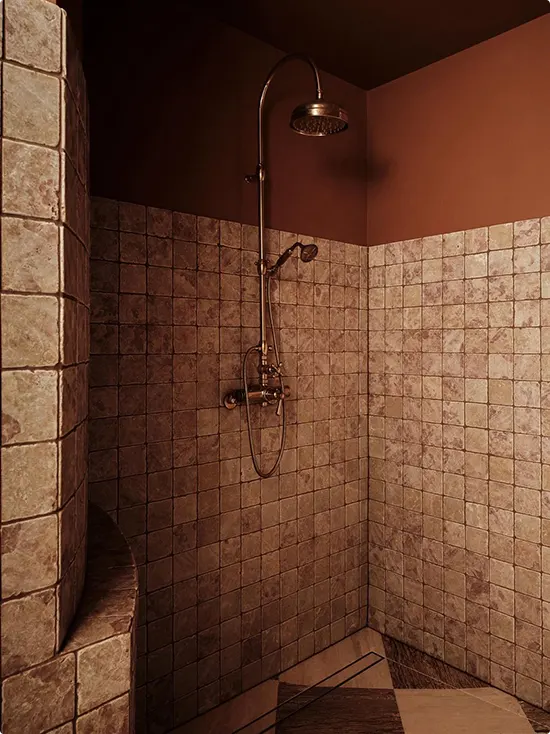 Walk-In Shower with Stone Tile