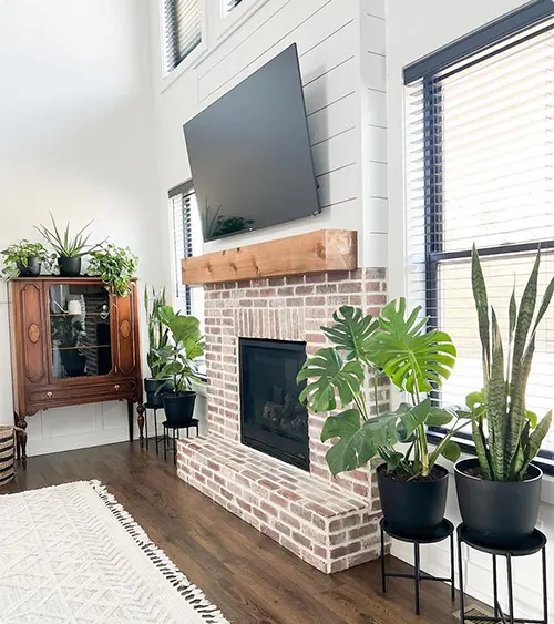 Whitewashed Fireplace and Plant Corner