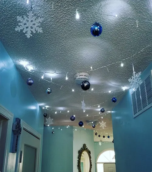 A Frozen Elegance Display