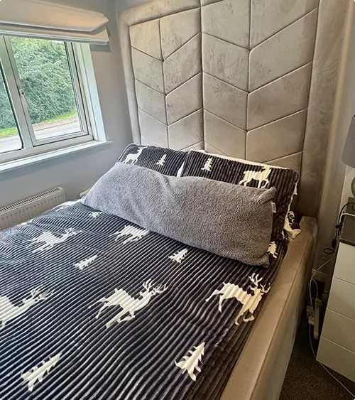 Moose in Modern Style