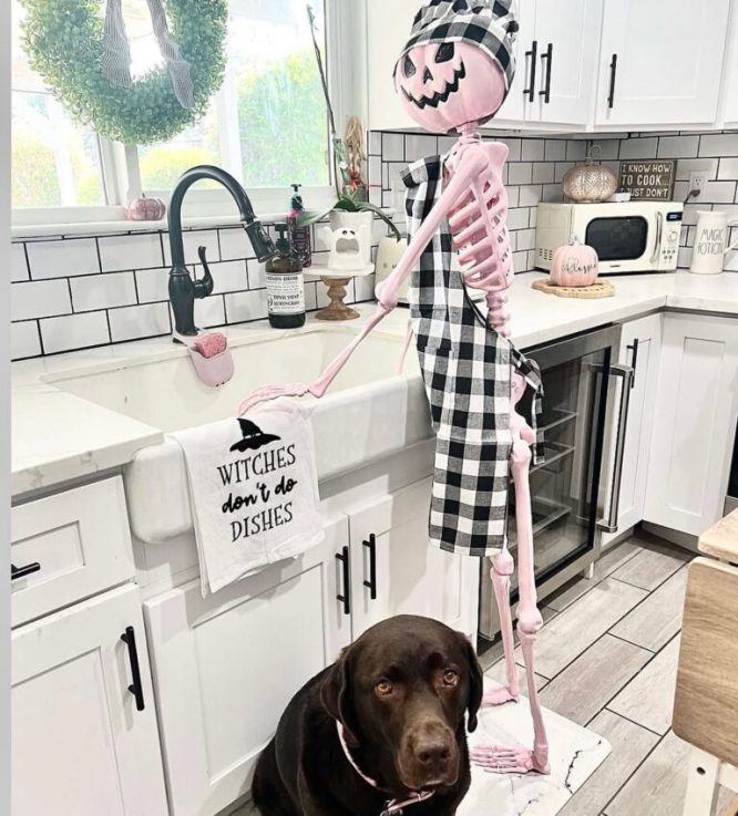 Pastel Pink Kitchen Sink Skeleton