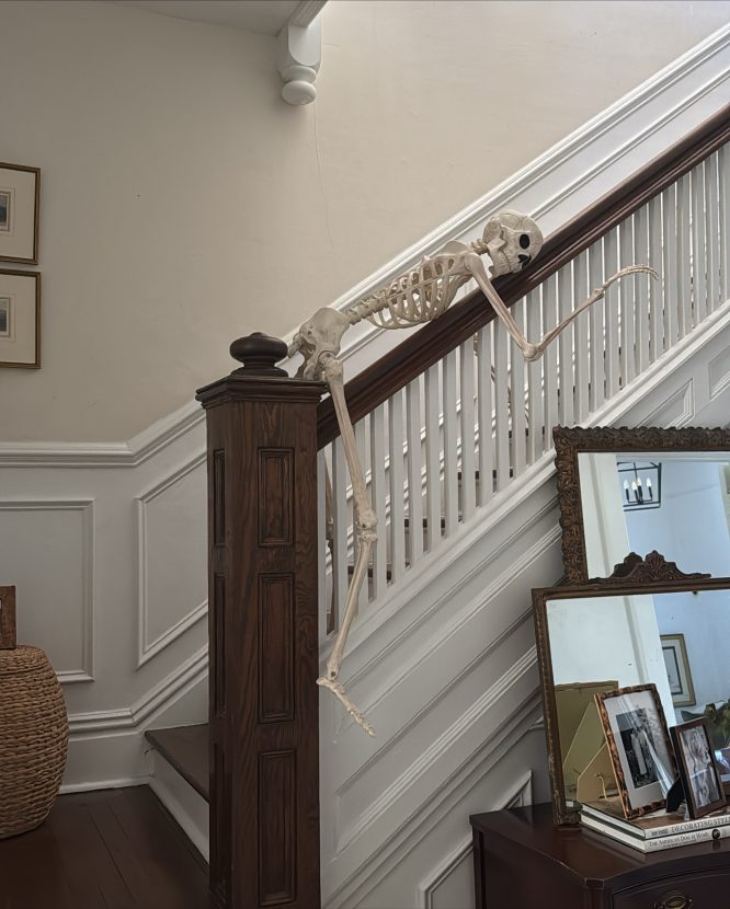 Skeleton Draped on a Staircase Railing