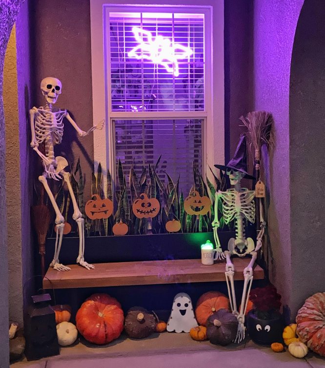 Two Skeletons on a Window Ledge