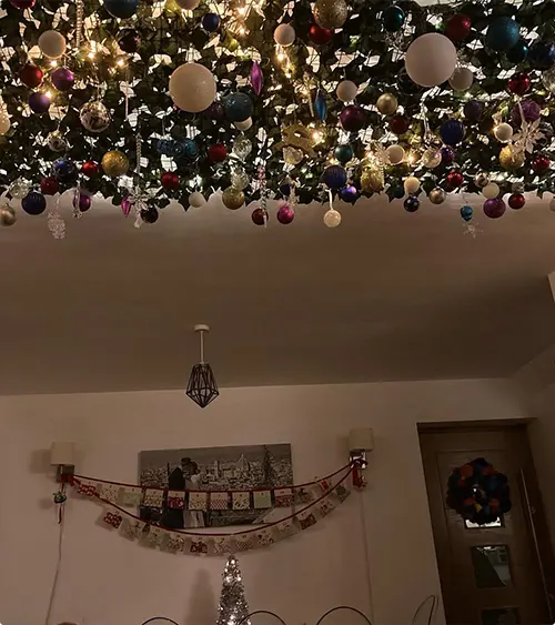 Upside Down Forest