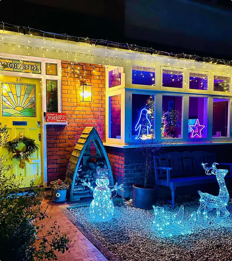 Whimsical Electric Winter