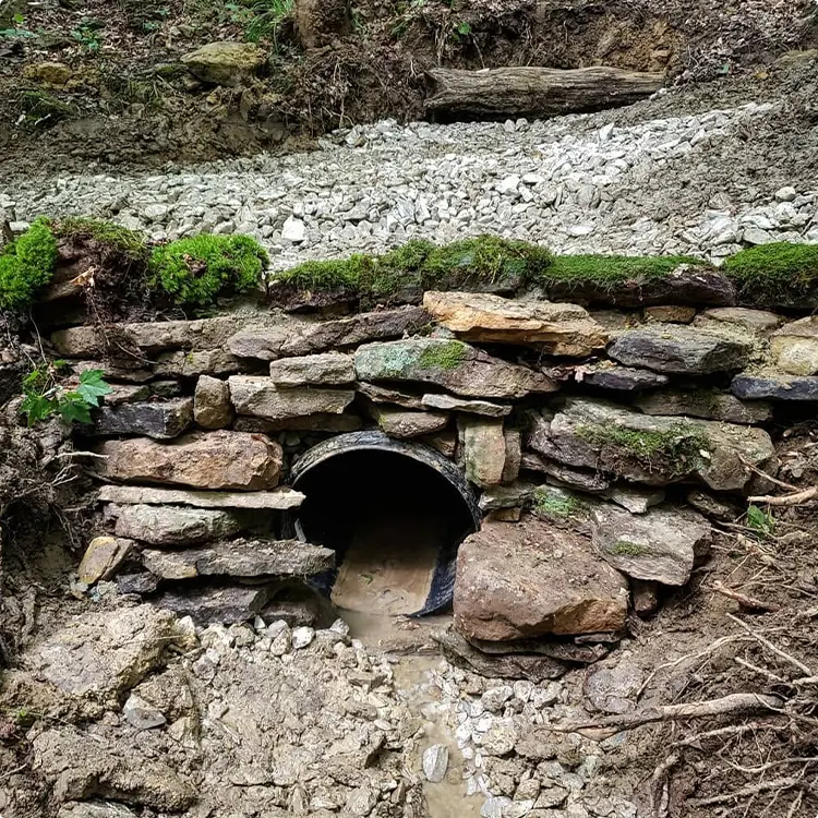 Moss-Topped Culvert in a Wooded Area
