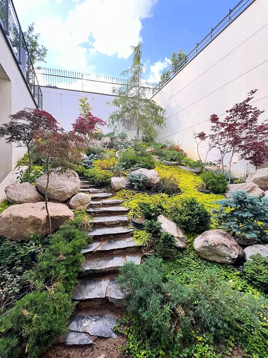 Rocky Hillside Garden Corner