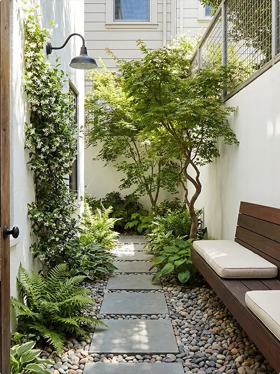 Side Yard Path Beneath a Japanese Maple