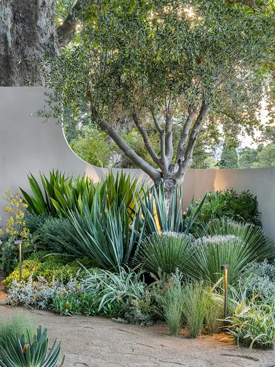 Warm Dry Desert Garden Corner