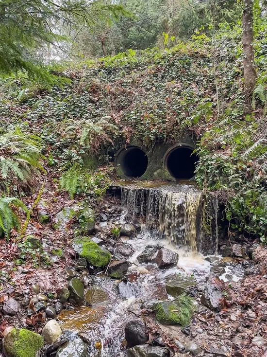 Woodland Twin Pipe Waterfall