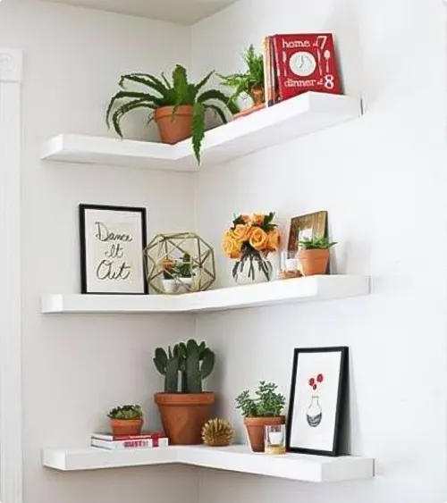 Floating Succulent Shelves