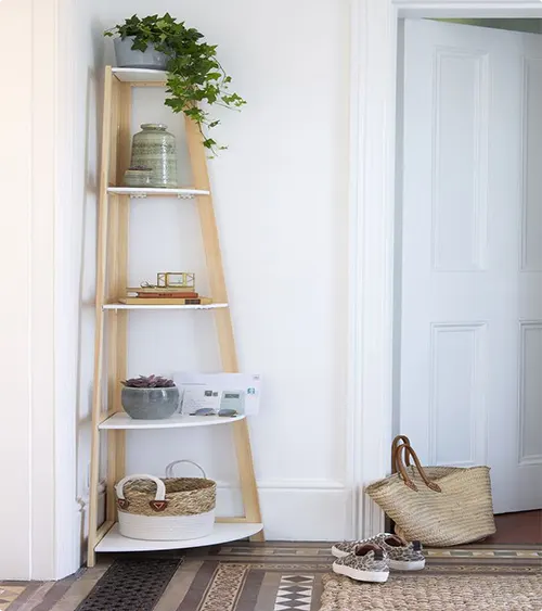 Ladder Shelf for Trailing Ivy