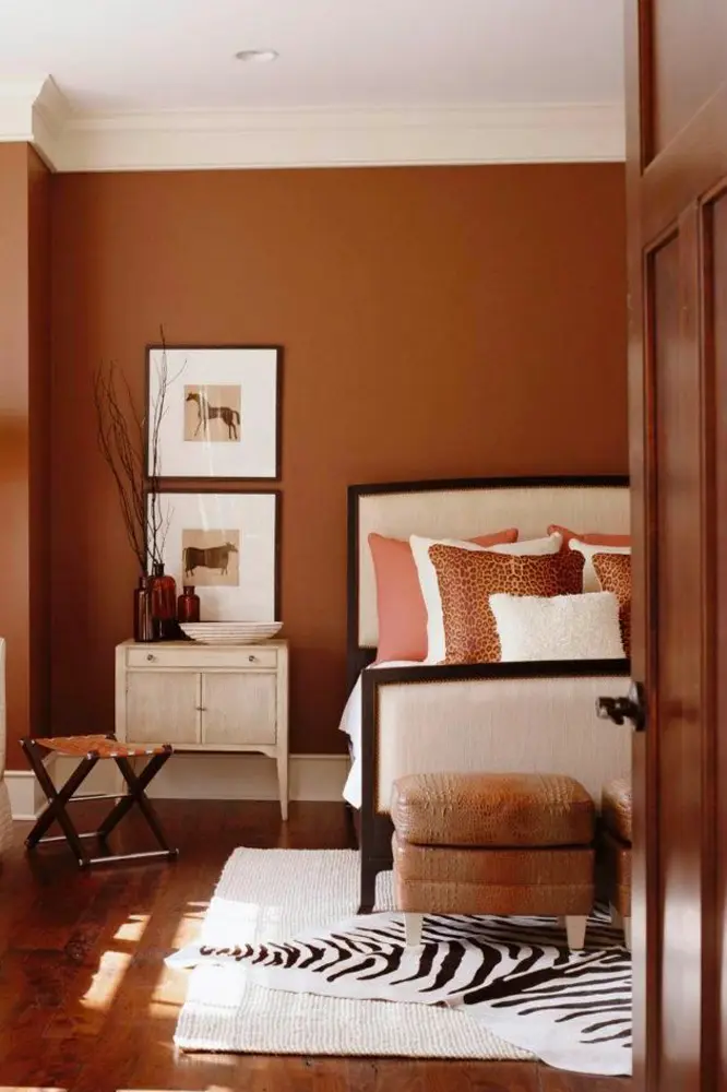 Warm Colors