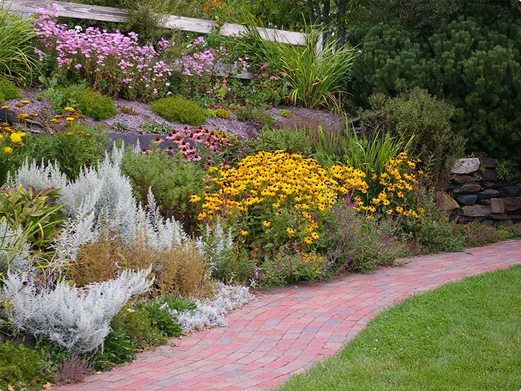 Colorful hillside planting