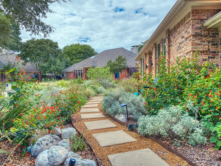 Gravel Walkway with Blooming Natives