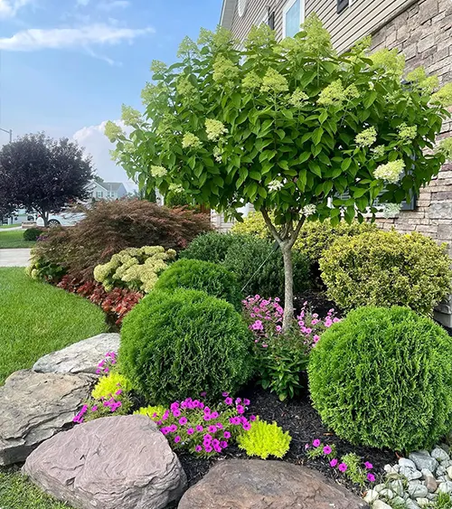 Green Sculptural Nook