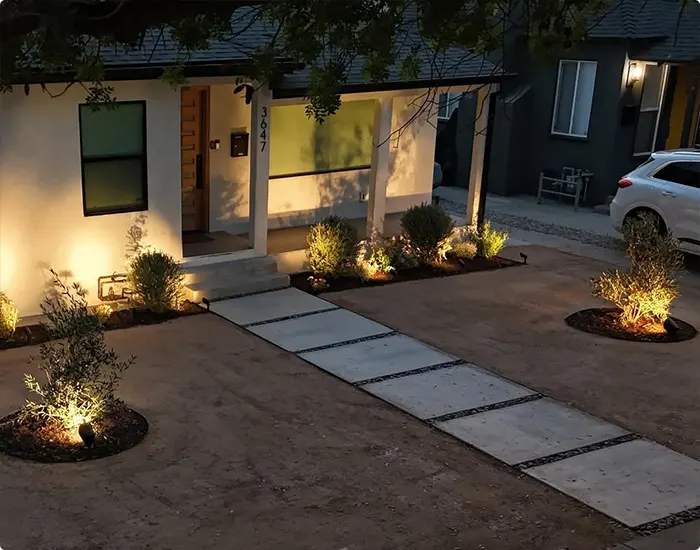 Midnight Glow Yard