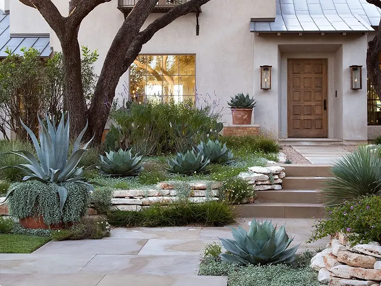 Modern Agave Pathway