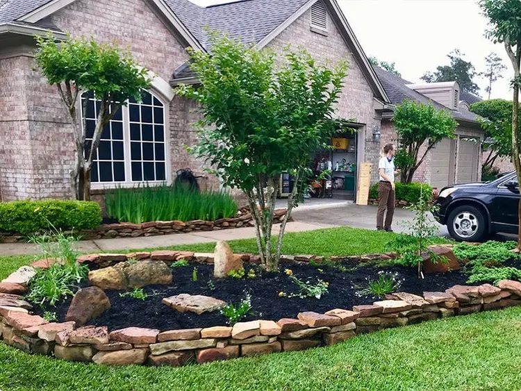 New raised bed
