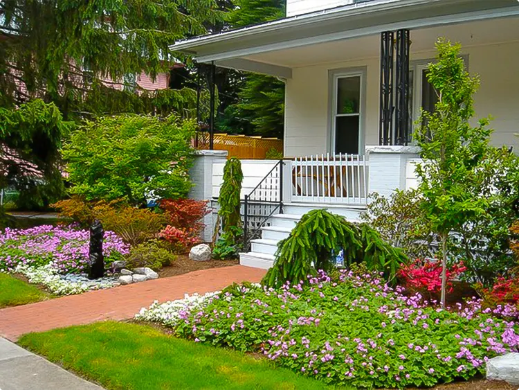 Pink White Planting for a Cottage