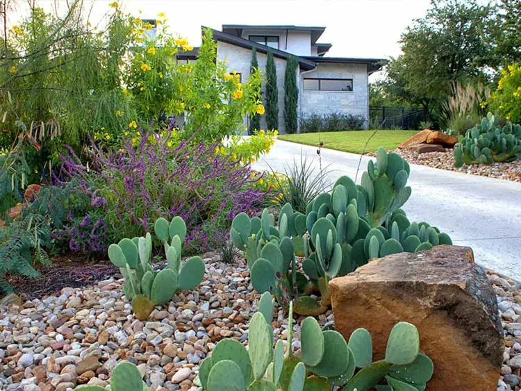 Prickly Pear in a Boulder Landscape