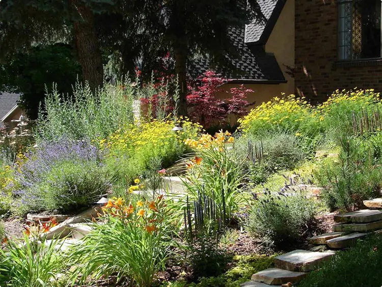 Sunlit hillside planting